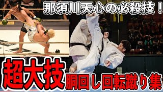 【那須川天心の必殺技】超大技！胴回し回転蹴り集【極真空手】