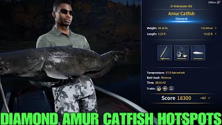 Diamond Amur Catfish Best Hotspots To Fish - Call Of The Wild : The Angler