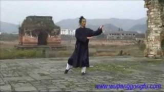 Wudang Taiji 108 - Part 1 - Master Yuan Xiu Gang (武当太极108式 - 第1段 - 袁修刚)