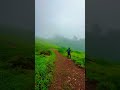 monsoon trekking kudremukh gangadikal peak karnataka 2024 naturalattractions monsoontrek natural