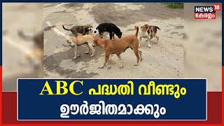 Stray Dog Attack | Ernakulam ജില്ലയിൽ ABC പദ്ധതി വീണ്ടും ഊർജിതമാക്കും; കേന്ദ്രങ്ങൾ ഉടൻ ആരംഭിക്കും