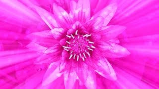 Magenta, Soul Star, Alto, Chakra Attunement