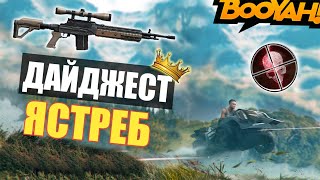 FREE FIRE | BOOYAH - ДАЙДЖЕСТ ЯСТРЕБ