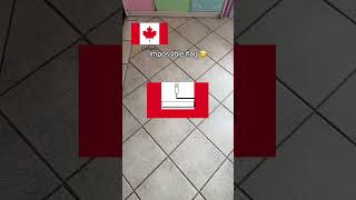 #canadian flag #coloring impossible #tiktokgame #game #hungergamestiktok #shorts