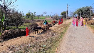 Life Of Women In Indian Villages [] This Is The Kind Of Life In Some Villages Of India #UP #village