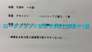 【競馬予想】　マーメイドステークス　2021 予想