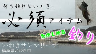 【７月上旬】初心者でも釣れたサビキ＆パワーイソメ【福島県いわきサンマリーナ】