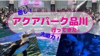 アクアパーク品川に行ってきた☆I went to Aqua Park Shinagawa ☆