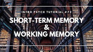 Short-Term Memory and Working Memory (Intro Psych Tutorial #72)