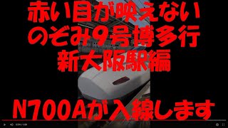 赤い目が映えないのぞみ９号博多行　新大阪駅編　N700Aが入線します　2022年4月22日　【撮り鉄#500】