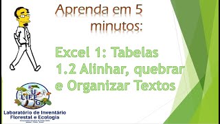 🤩📗 1.2 Excel em 5 minutos: Formatação e Quebras de texto