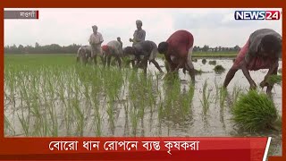 নওগাঁয় শৈত্য প্রবাহ কমে গেলে ধান রোপনের পরামর্শ 22Jan.22