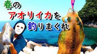 【エギング】アタリを取って春イカを釣りまくれ！シャローで狙うアオリイカ【藻場攻略】