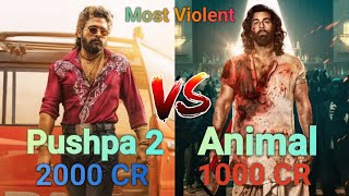 Pushpa 2 V/S Animal Movie Comparison | Box Office Collection Comparison