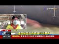 雲林台西大排1週潰堤3次 周圍豬舍慘遭波及