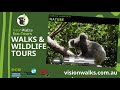 Vision Walks - Eco Tours