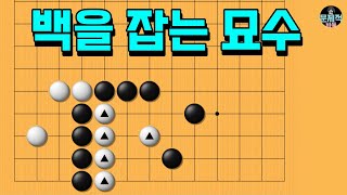 바둑 사활 묘수 - 수상전의 진짜 급소는 어디일까요? 백을 잡아보세요 (9월 20번문제)