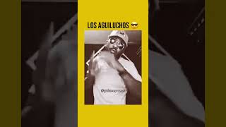 Los aguiluchos nos disfrutamos la vida