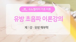 소노컬리지, 유방 초음파 이론강의