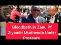 Bloodbath in Zanu Pf Ziyambi Mudhenda Under Pressure 