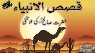 Qurani stories | حضرت صالح علیه السلام اور ان کی اونٹی | urdu |hindi| قوم ثمود |Sheen Quran Academy|