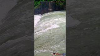 TK Colony, Olervattam  ഇപ്പോഴത്തെ അവസ്ഥ #short #shorts #viral #trending