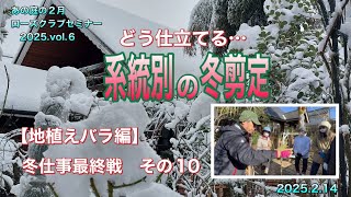 どう仕立てる...系統別の冬剪定 【地植えバラ編】冬仕事最終戦 その10