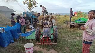 សកម្មភាពបងប្អូននៅក្នុងភូមិអូក្សាន្តបោកស្រូវ