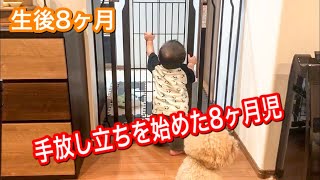 生後8ヶ月　手放し立ちを始めた8ヶ月児