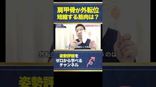 【肩甲骨クイズ】肩甲骨が外転位のとき短縮する筋肉は？？ #アナトミートレイン #姿勢評価 #筋膜