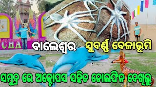 ସମୁଦ୍ର ରେ ଅକ୍ଟୋପସ ସହିତ ଡୋଲଫିନ  ଦେଖିଲୁ ||ସୁବର୍ଣ୍ଣ ବେଳାଭୂମି ||Chandipur Golden Beach Festival 2025