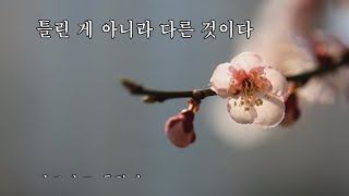 틀린 게 아니라 다른 것이다