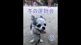 冬の運動会　６