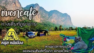 กางเต๊นท์ภูผาม่าน  ที่ลาน ชมผาcafe