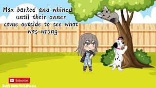 Dog And Cat Friends Short Story With Moral Lessons