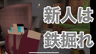 マイクラ#08【新人は鉄を掘れ】