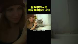 猫眼中的人类 看完颠覆你的认识