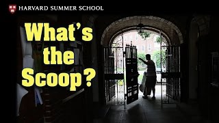 What's the Scoop? | Reflections on Harvard Summer School