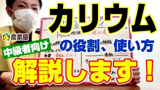 【中級者向け】カリウムについて深掘り！カリウムはどんな役割をするの？使い方のコツは？解説します！【農業屋】