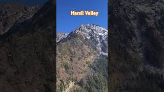 Harsil Valley 🌨️ #uttarakhand #viralvideo