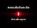 ควอนตัมวันละนิด ep.5 คลื่น อนุภาค the projectile