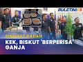 EDAR KEK, BISKUT GANJA | Pasangan Kekasih Antara 6 Ditahan, 3 Sindiket Tumpas