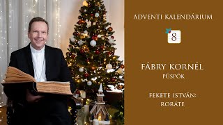 Adventi Kalendárium - 8. felolvasó: Fábry Kornél