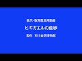 展示・教育普及用動画　ヒキガエルの産卵