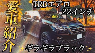 【愛車紹介】輝くブラックプラド！動く漆黒の塊をどうぞ！