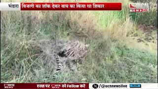 Bhandara - 3 tiger hunting accused arrested