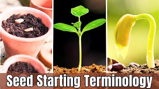 Essential Seed Starting Terms Explained 🌱 | Get Ready for a Successful Spring Garden!