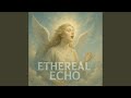 Echoes in the void