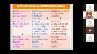Infectious Agents of Diarrhea | Pathology Lecture | Ample Medical Lecture #MBBS