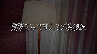 【女性向け】嫌な夢をみて甘えてくる年下犬系彼氏【シチュエーションボイス/睡眠導入/ロールプレイ/甘々/寝言/添い寝/寝かしつけ】 #asmr #vtuber